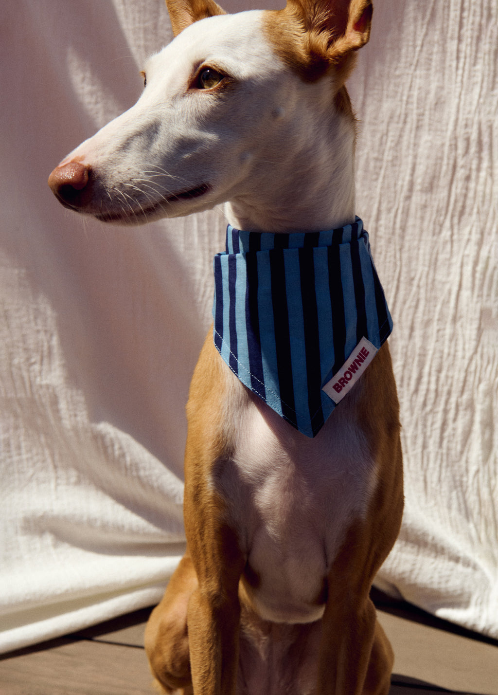 Denim pet bandana