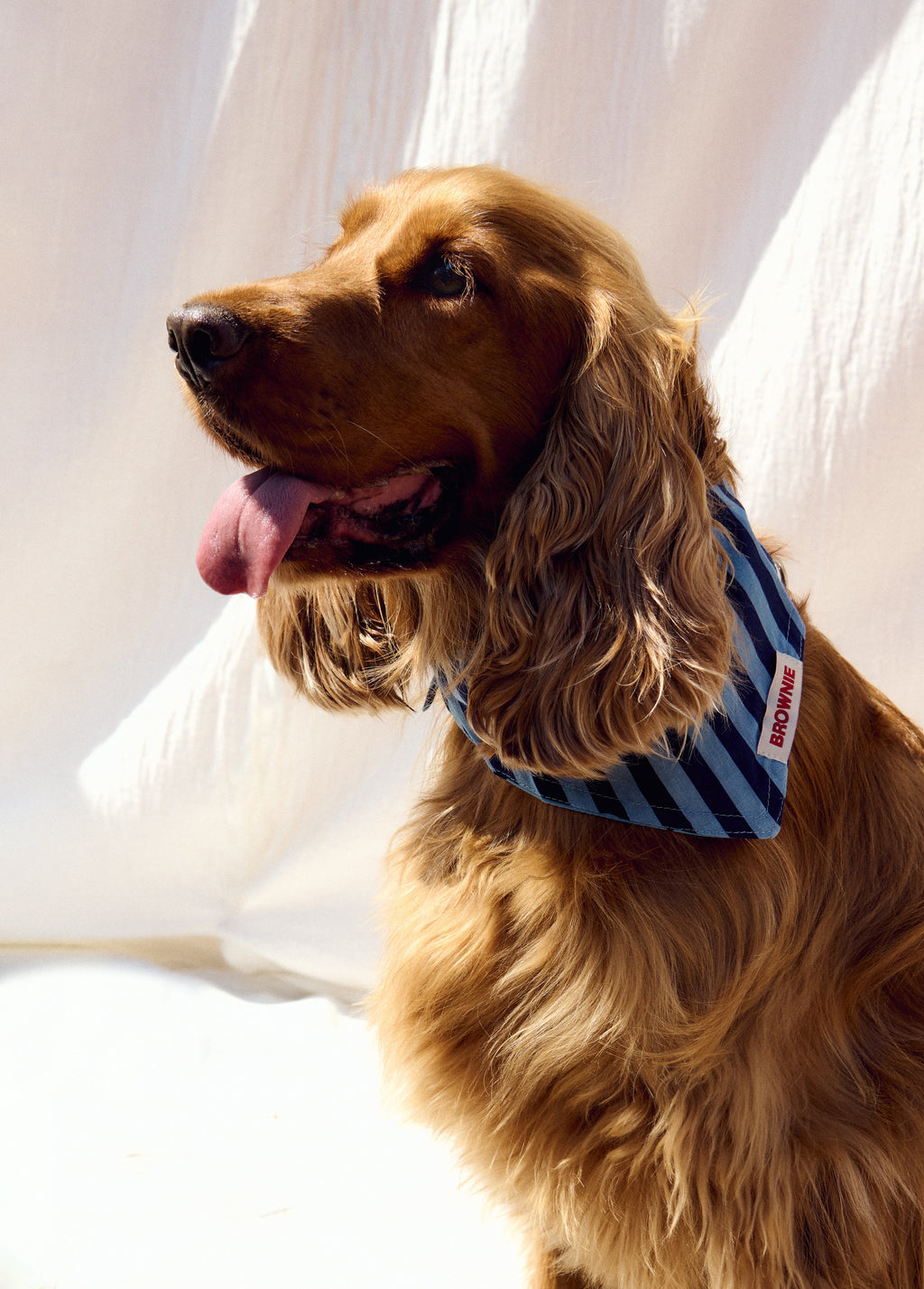 Denim pet bandana