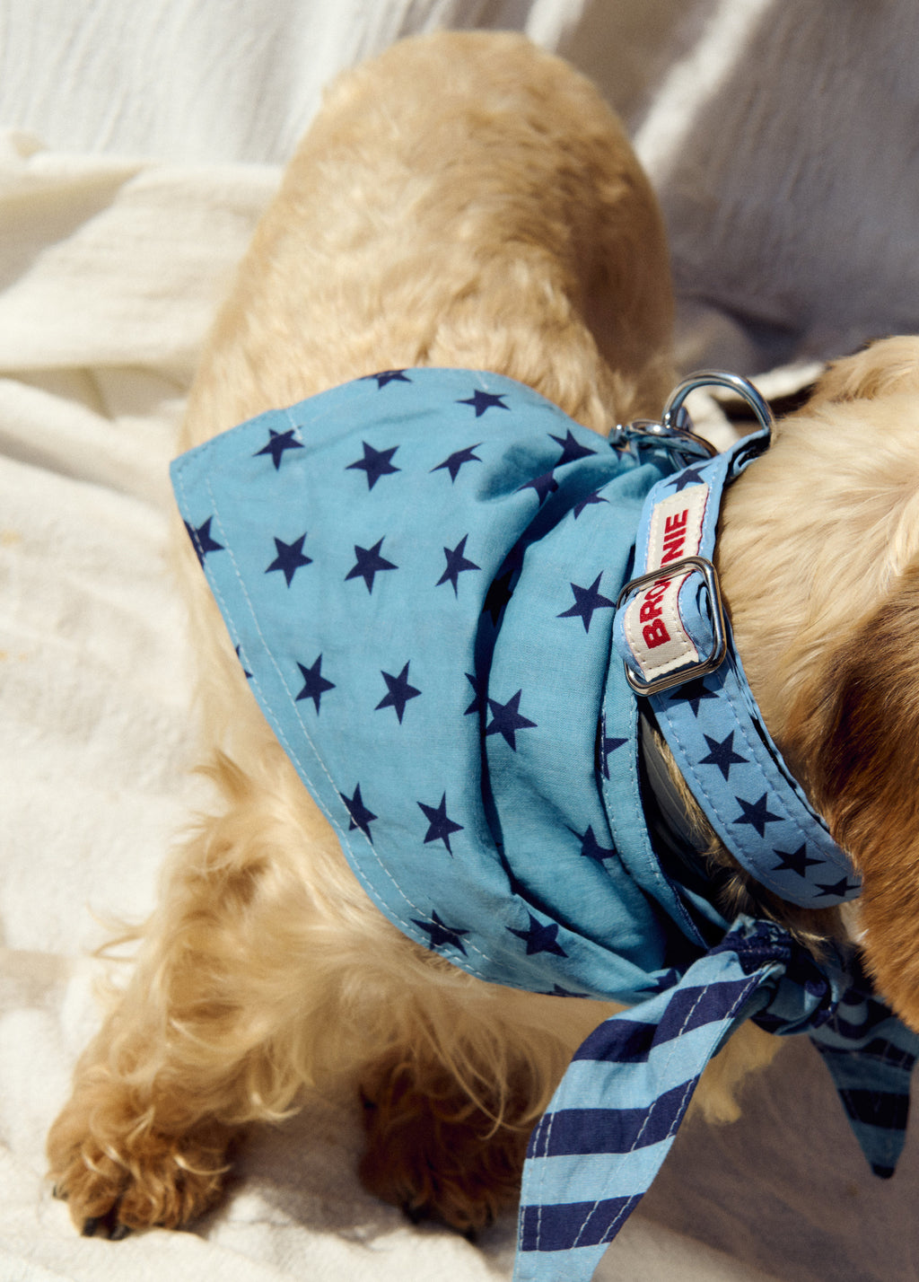 Denim pet bandana