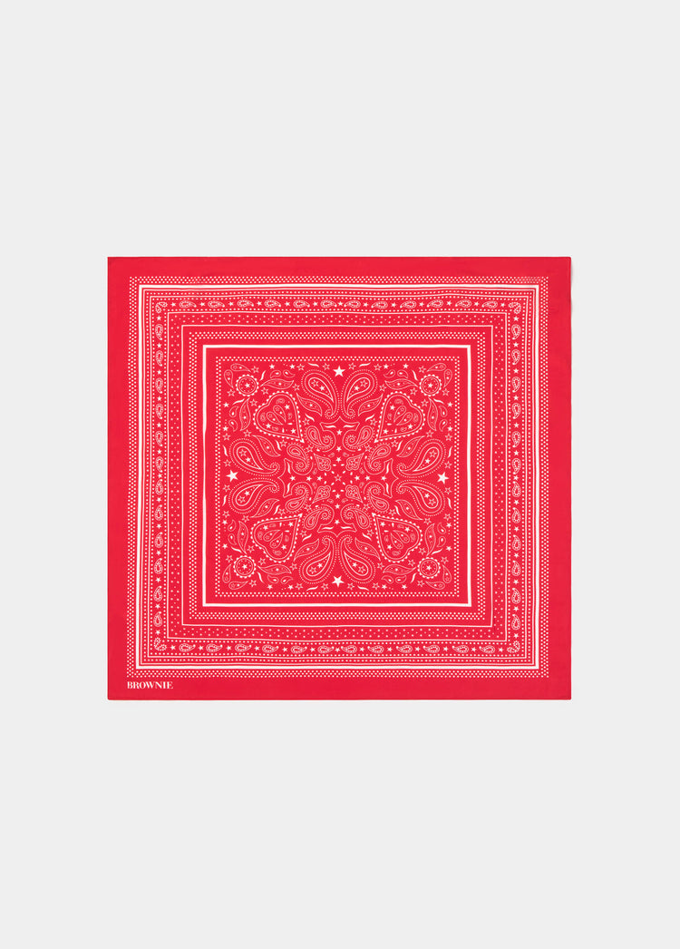 Pañuelo bandana paisley