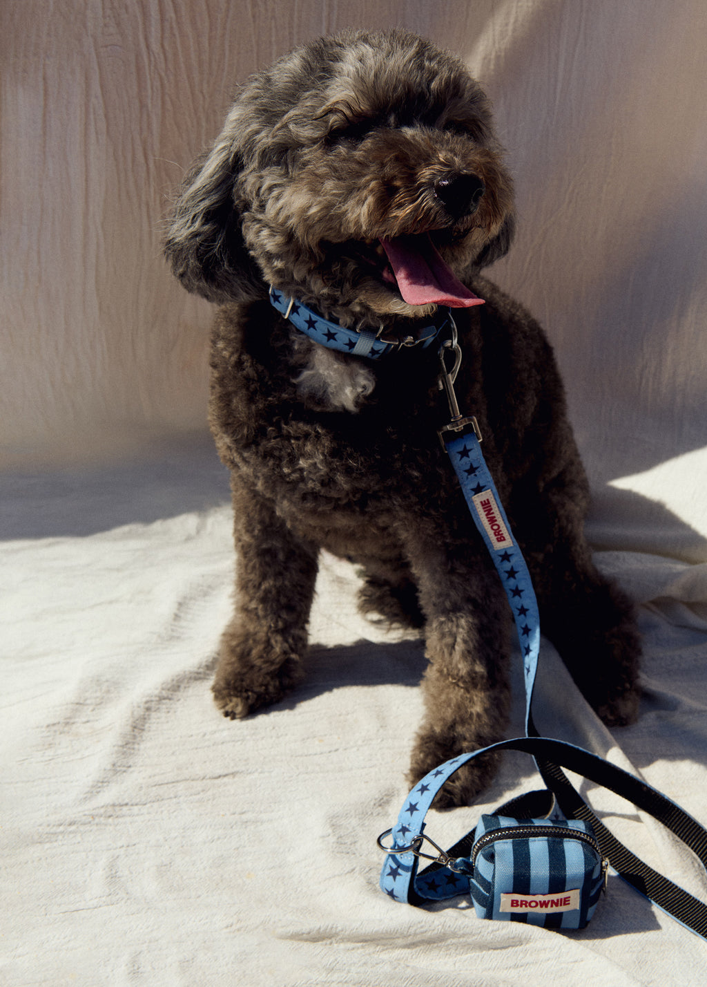 Pet bag dispenser