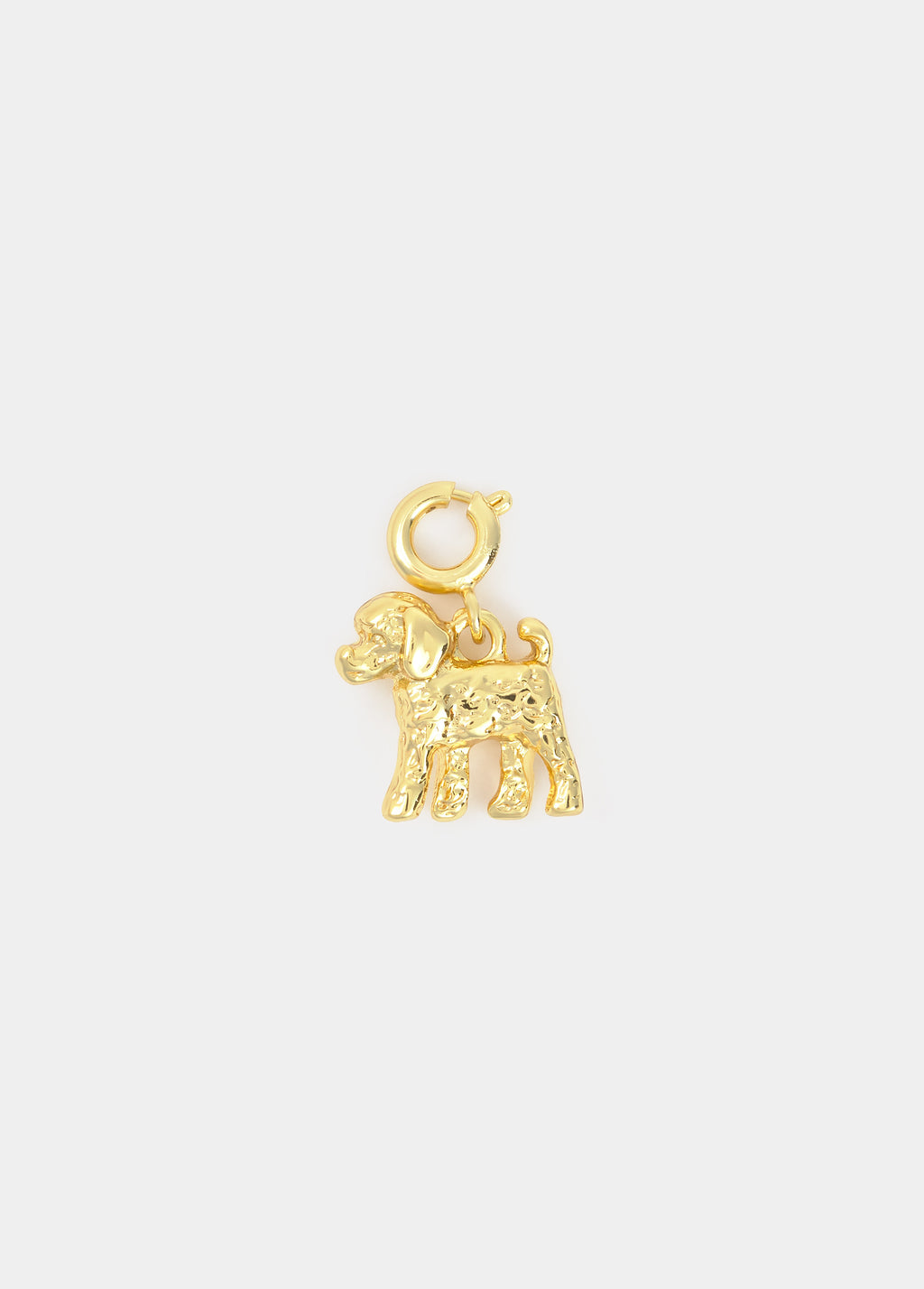 Charm perrito